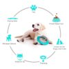 TreatOrbit Interactive Dog Toy